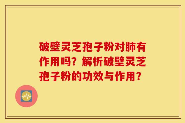 破壁靈芝孢子粉對肺有作用嗎？解析破壁靈芝孢子粉的功效與作用？