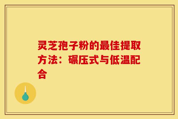 靈芝孢子粉的佳提取方法：碾壓式與低溫配合