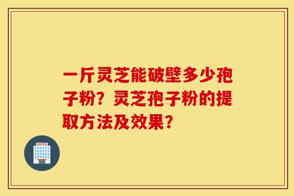 一斤靈芝能破壁多少孢子粉？靈芝孢子粉的提取方法及效果？