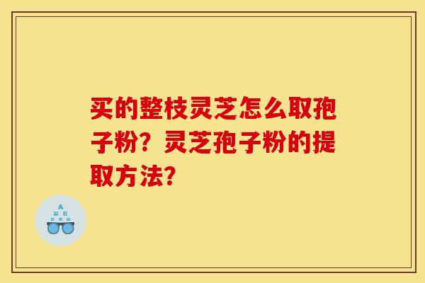 買的整枝靈芝怎么取孢子粉？靈芝孢子粉的提取方法？