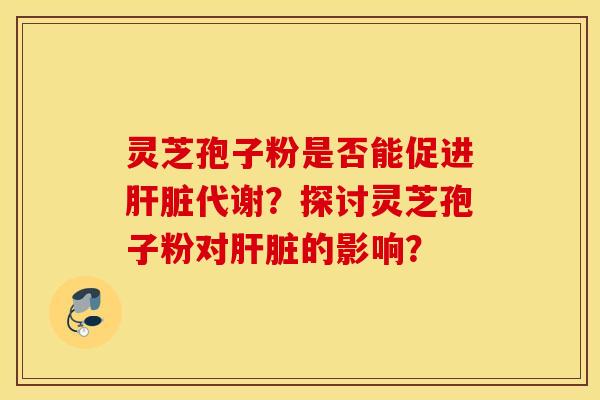 靈芝孢子粉是否能促進肝臟代謝？探討靈芝孢子粉對肝臟的影響？