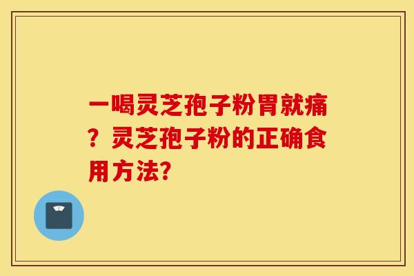 一喝靈芝孢子粉胃就痛？靈芝孢子粉的正確食用方法？