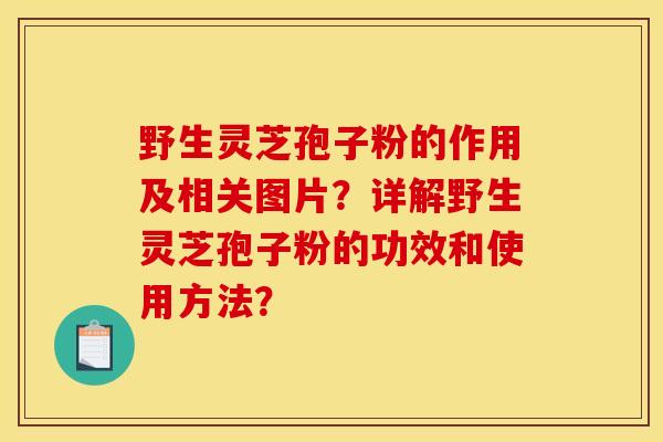 野生靈芝孢子粉的作用及相關圖片？詳解野生靈芝孢子粉的功效和使用方法？