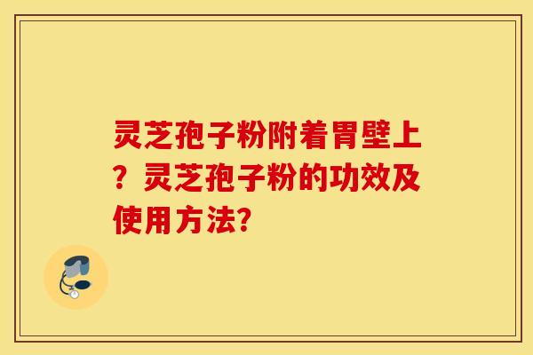 靈芝孢子粉附著胃壁上？靈芝孢子粉的功效及使用方法？