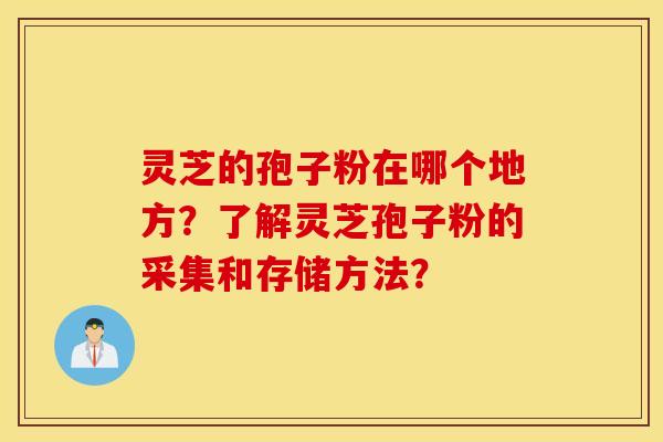 靈芝的孢子粉在哪個地方？了解靈芝孢子粉的采集和存儲方法？