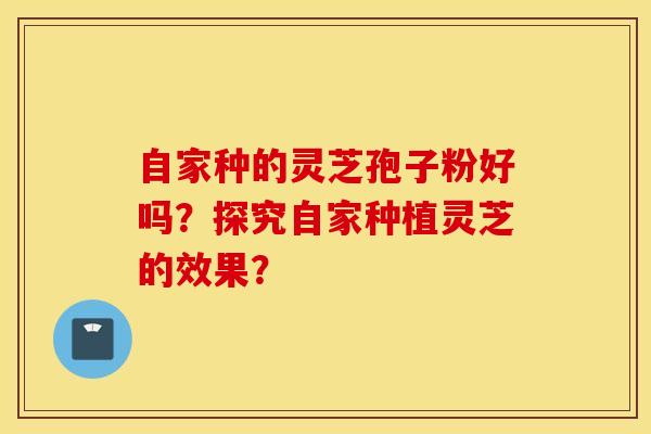 自家種的靈芝孢子粉好嗎？探究自家種植靈芝的效果？