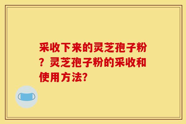 采收下來的靈芝孢子粉？靈芝孢子粉的采收和使用方法？