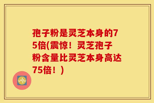 孢子粉是靈芝本身的75倍(震驚！靈芝孢子粉含量比靈芝本身高達75倍！)