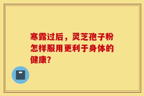 寒露過后，靈芝孢子粉怎樣服用更利于身體的健康？