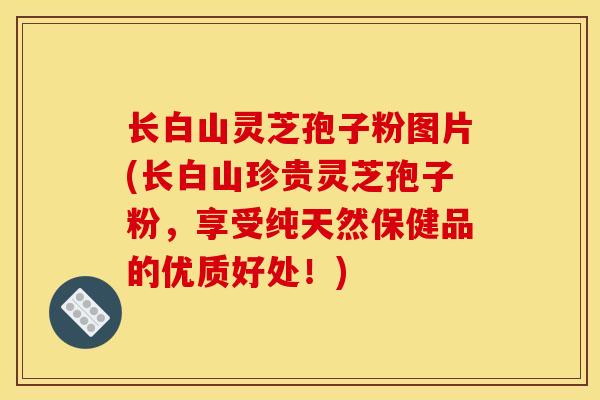 長白山靈芝孢子粉圖片(長白山珍貴靈芝孢子粉，享受純天然保健品的優質好處！)