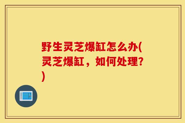 野生靈芝爆缸怎么辦(靈芝爆缸，如何處理？)