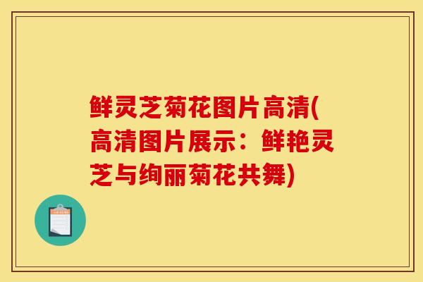 鮮靈芝菊花圖片高清(高清圖片展示：鮮艷靈芝與絢麗菊花共舞)