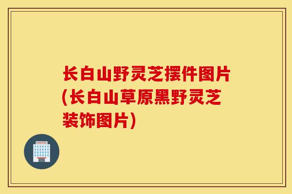 長白山野靈芝擺件圖片(長白山草原黑野靈芝裝飾圖片)