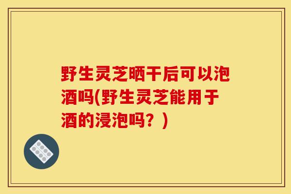 野生靈芝曬干后可以泡酒嗎(野生靈芝能用于酒的浸泡嗎？)