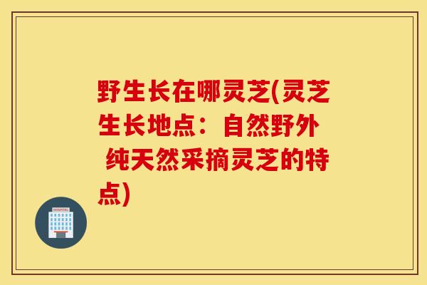 野生長在哪靈芝(靈芝生長地點：自然野外  純天然采摘靈芝的特點)