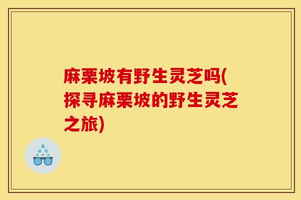 麻栗坡有野生靈芝嗎(探尋麻栗坡的野生靈芝之旅)