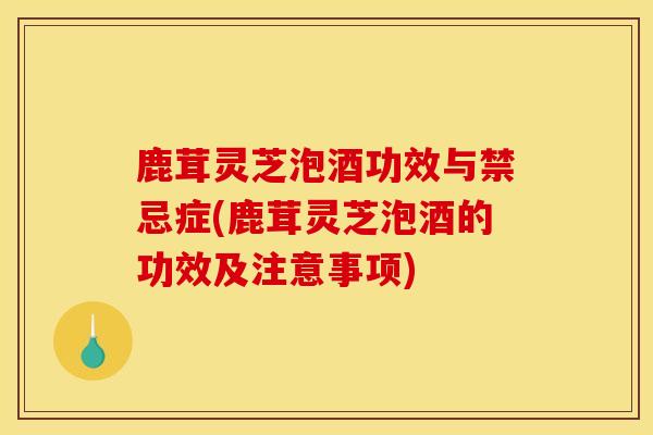 鹿茸靈芝泡酒功效與禁忌癥(鹿茸靈芝泡酒的功效及注意事項)