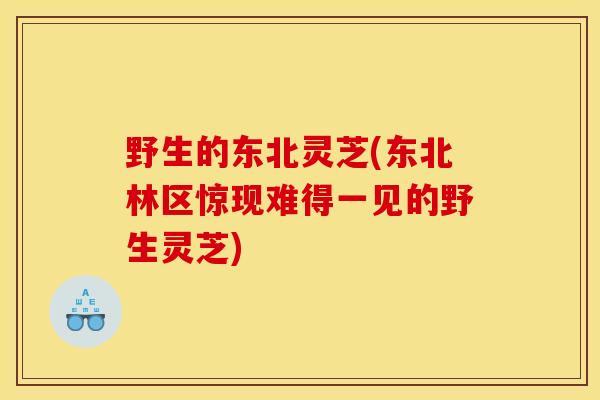 野生的東北靈芝(東北林區驚現難得一見的野生靈芝)