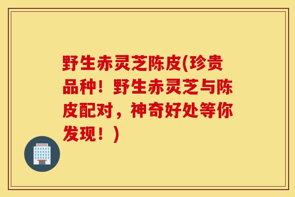 野生赤靈芝陳皮(珍貴品種！野生赤靈芝與陳皮配對，神奇好處等你發現！)