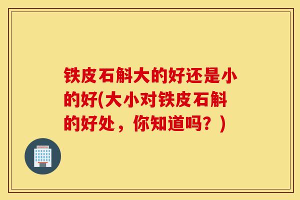 鐵皮石斛大的好還是小的好(大小對鐵皮石斛的好處，你知道嗎？)