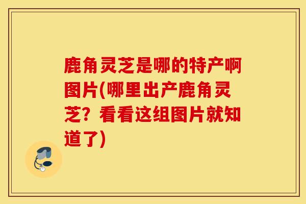 鹿角靈芝是哪的特產啊圖片(哪里出產鹿角靈芝？看看這組圖片就知道了)