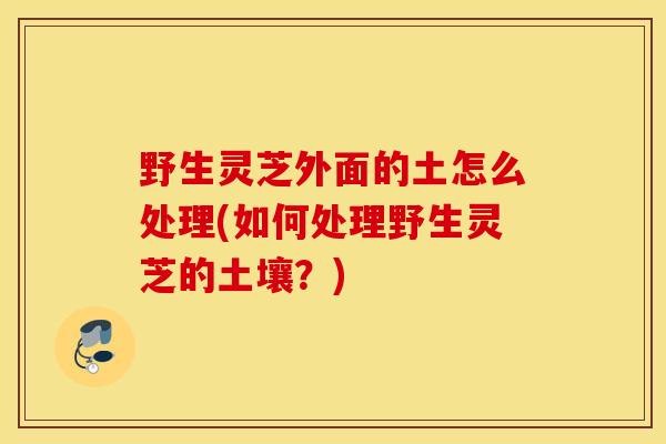 野生靈芝外面的土怎么處理(如何處理野生靈芝的土壤？)