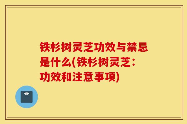 鐵杉樹靈芝功效與禁忌是什么(鐵杉樹靈芝：功效和注意事項)