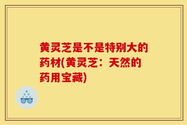 黃靈芝是不是特別大的藥材(黃靈芝：天然的藥用寶藏)