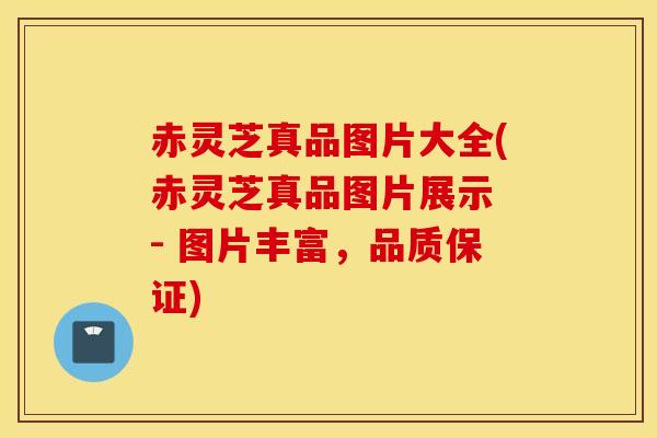 赤靈芝真品圖片大全(赤靈芝真品圖片展示 - 圖片豐富，品質保證)