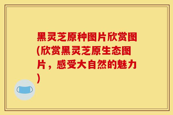 黑靈芝原種圖片欣賞圖(欣賞黑靈芝原生態圖片，感受大自然的魅力)