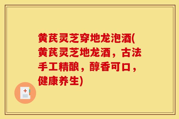 黃芪靈芝穿地龍泡酒(黃芪靈芝地龍酒，古法手工精釀，醇香可口，健康養生)