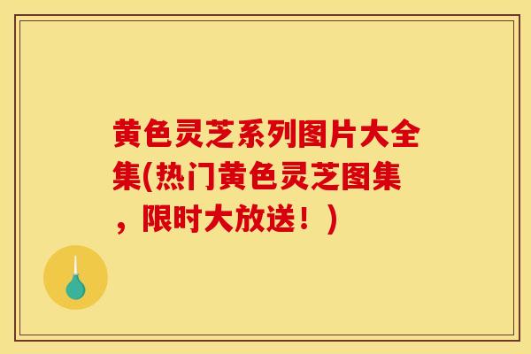 黃色靈芝系列圖片大全集(熱門黃色靈芝圖集，限時大放送！)