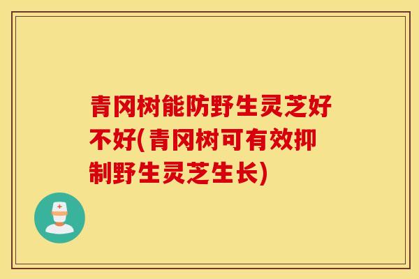 青岡樹能防野生靈芝好不好(青岡樹可有效抑制野生靈芝生長)