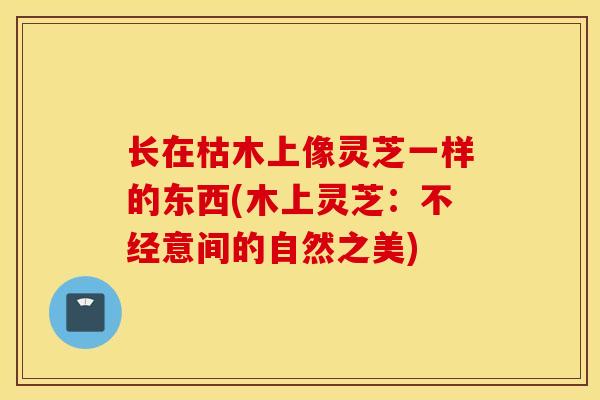 長在枯木上像靈芝一樣的東西(木上靈芝：不經意間的自然之美)