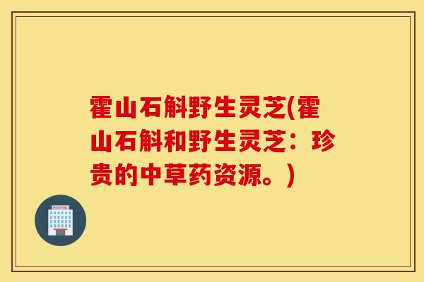 霍山石斛野生靈芝(霍山石斛和野生靈芝：珍貴的中草藥資源。)