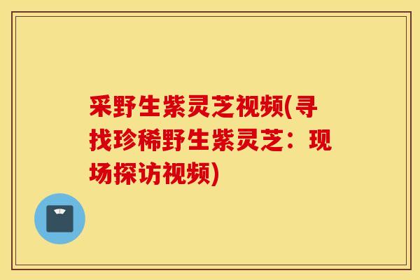 采野生紫靈芝視頻(尋找珍稀野生紫靈芝：現場探訪視頻)