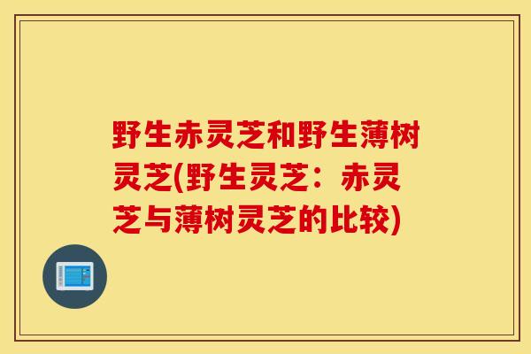 野生赤靈芝和野生薄樹靈芝(野生靈芝：赤靈芝與薄樹靈芝的比較)