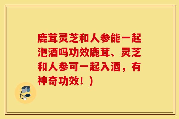 鹿茸靈芝和人參能一起泡酒嗎功效鹿茸、靈芝和人參可一起入酒，有神奇功效！)