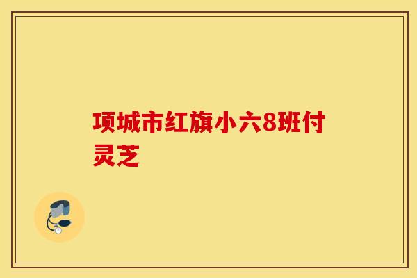 項城市紅旗小六8班付靈芝