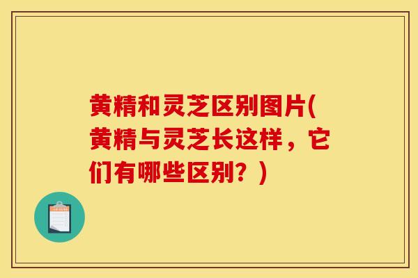 黃精和靈芝區別圖片(黃精與靈芝長這樣，它們有哪些區別？)