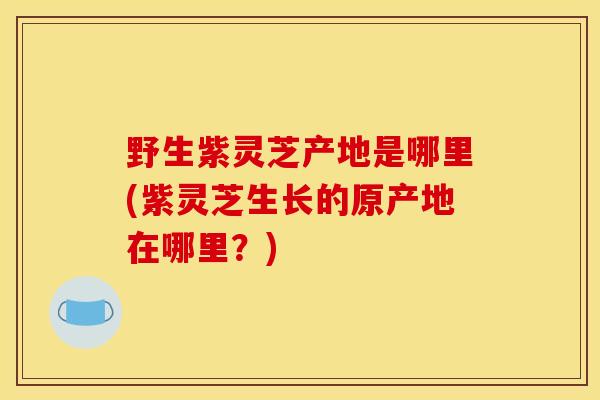 野生紫靈芝產地是哪里(紫靈芝生長的原產地在哪里？)