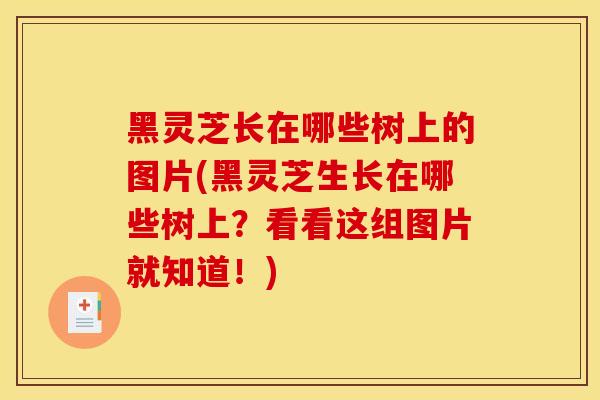 黑靈芝長在哪些樹上的圖片(黑靈芝生長在哪些樹上？看看這組圖片就知道！)