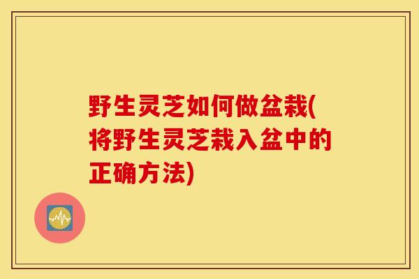 野生靈芝如何做盆栽(將野生靈芝栽入盆中的正確方法)