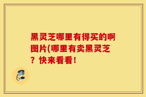 黑靈芝哪里有得買的啊圖片(哪里有賣黑靈芝？快來看看！