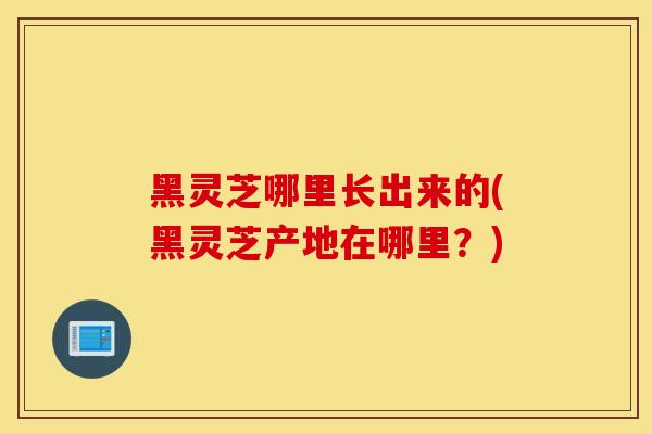 黑靈芝哪里長出來的(黑靈芝產地在哪里？)