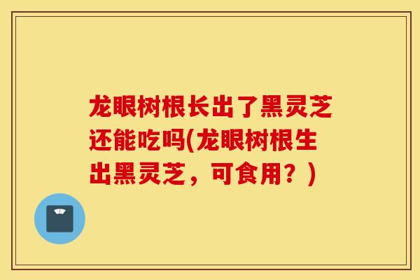 龍眼樹根長出了黑靈芝還能吃嗎(龍眼樹根生出黑靈芝，可食用？)