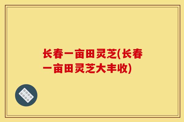 長春一畝田靈芝(長春一畝田靈芝大豐收)