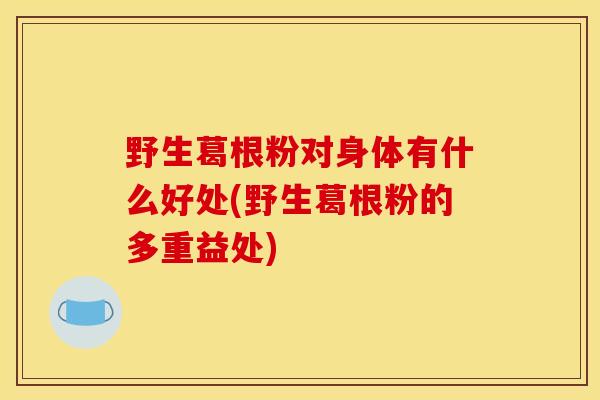 野生葛根粉對身體有什么好處(野生葛根粉的多重益處)