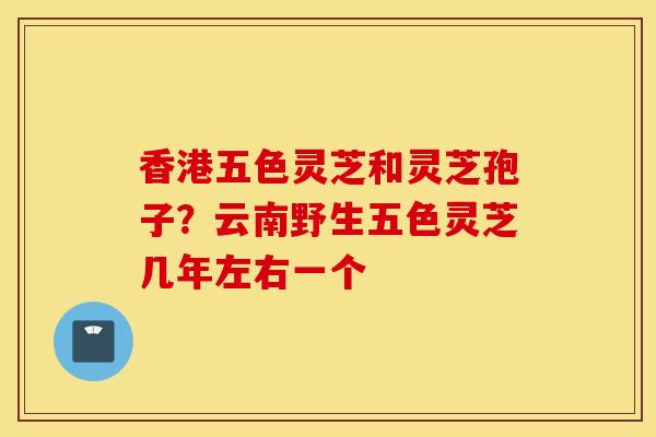 香港五色靈芝和靈芝孢子？云南野生五色靈芝幾年左右一個