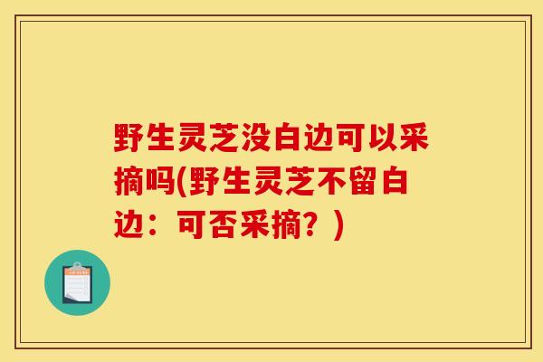 野生靈芝沒白邊可以采摘嗎(野生靈芝不留白邊：可否采摘？)